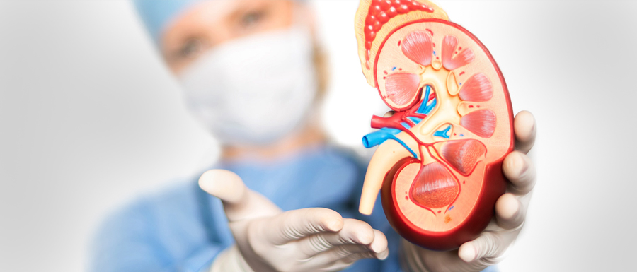 Urologists Near Me in Nalasopara East, Palghar